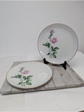 Youngsware YOU1 Embassy Fine China Gold Trim Roses Set 2 Dinner Plates 10 1/4"
